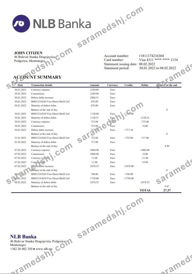 Montenegro NLB Bank statement